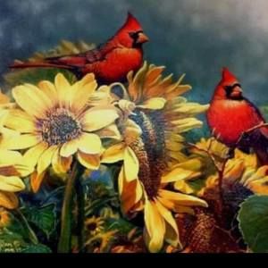 Meet your Posher, Elania